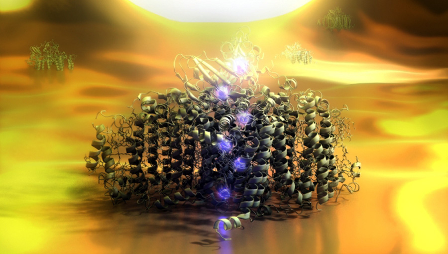 Illustration eines Photosystem I-Komplexes, der über die Spitze eines optischen Nahfeld-Mikroskops beleuchtet wird Illustration eines Photosystem I-Komplexes, der über die Spitze eines optischen Nahfeld-Mikroskops beleuchtet wird